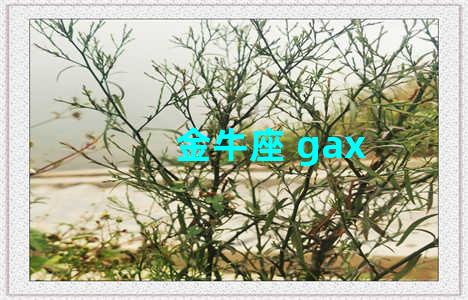 金牛座 gax